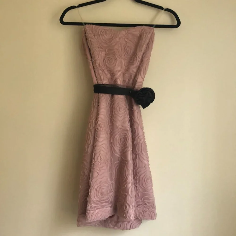NWT Teeze Me Strapless Rose-Textured Mini Dress in Blush | Size 9 - Picture 4 of 14